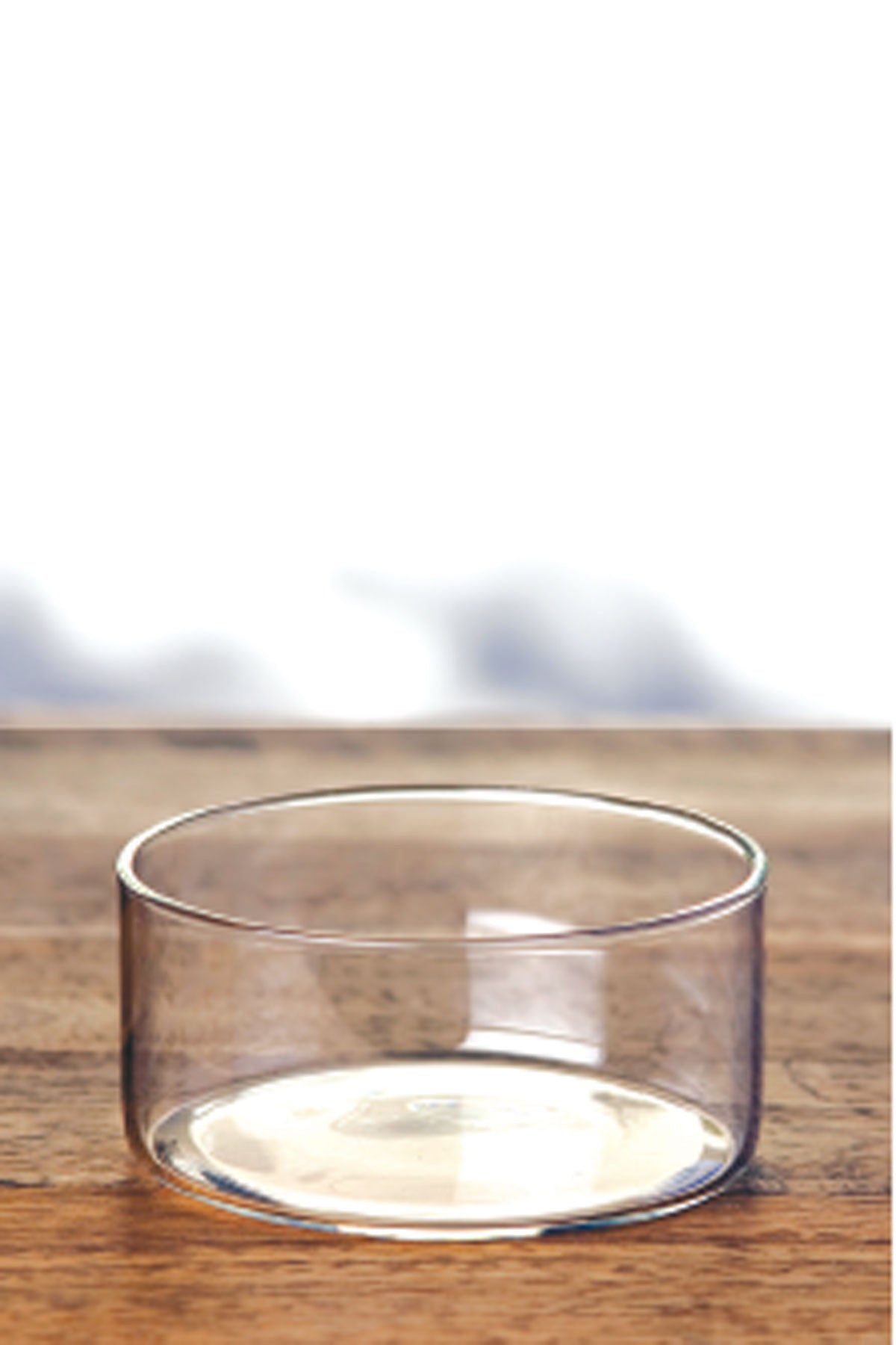 Vision Classic Large Katori set of 6